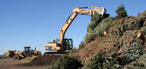 Christmas Tree Recycling Dec. 26, 2025 to Jan. 16, 2026